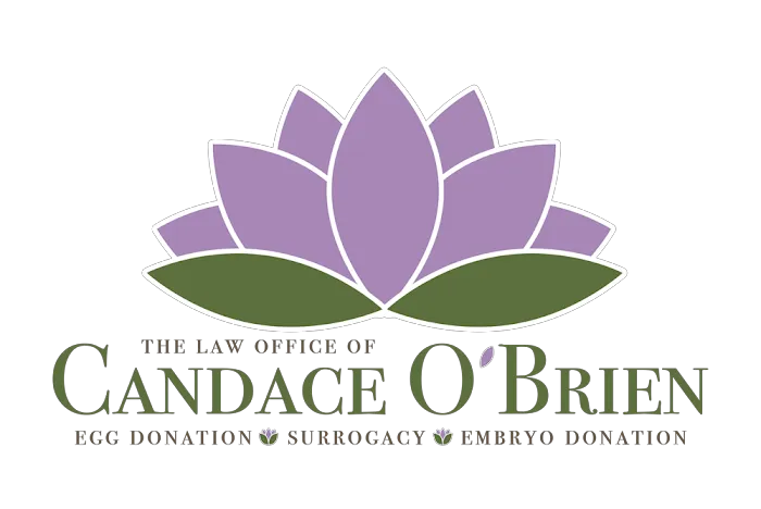 Law Office of Candace O'Brien 1