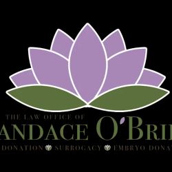 Law Office of Candace O'Brien ico
