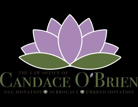 Law Office of Candace O'Brien