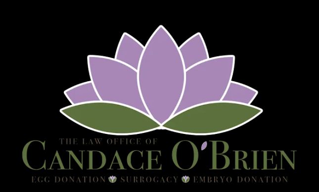 Law Office of Candace O'Brien