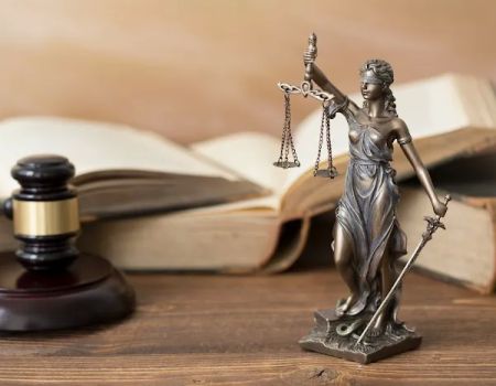 The Stein Law Group