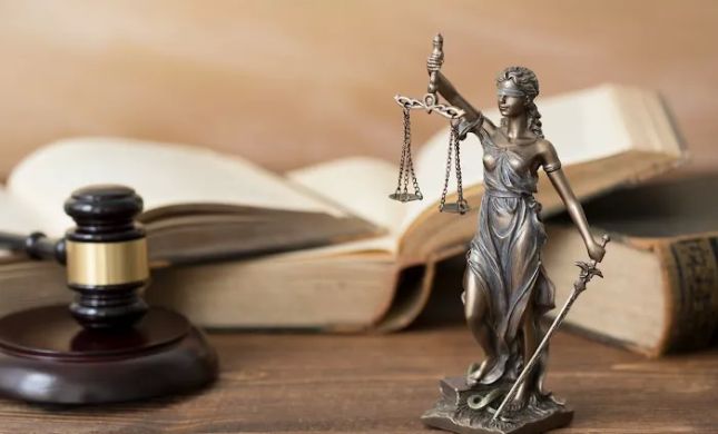 The Stein Law Group