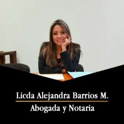 Alejandra Barrios Law Services ico