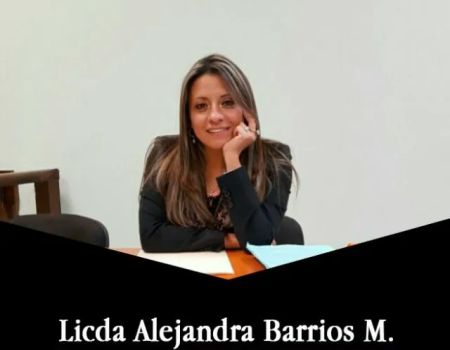 Alejandra Barrios Law Services