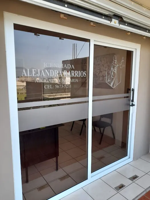 Alejandra Barrios Law Services 3