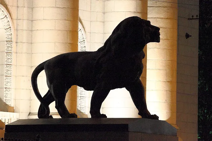 The Lion's Law Office 1
