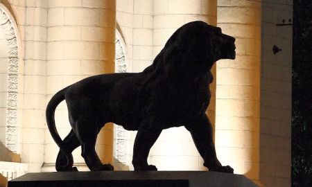 The Lion's Law Office