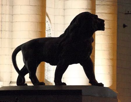 The Lion's Law Office