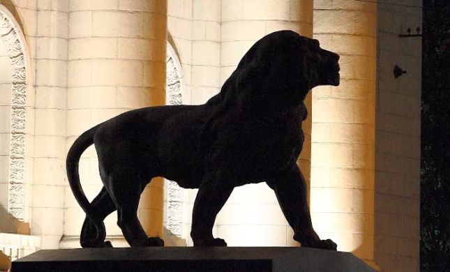 The Lion's Law Office
