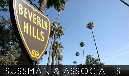 Sussman & Associates 3