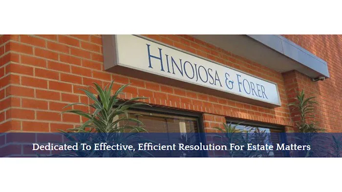 Hinojosa & Forer LLP 7