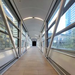 Chapter 13 Trustee ico