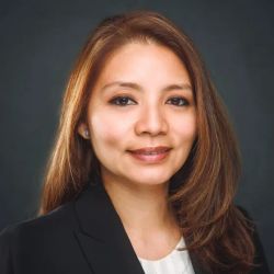 The Law Office Of Rosemary Gushiken, LLC. ico