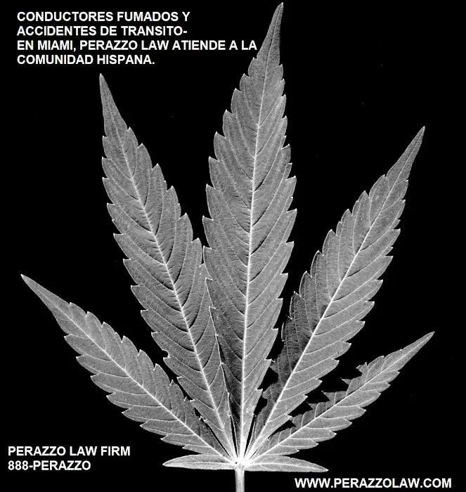Litigation and Recovery Law Center 2