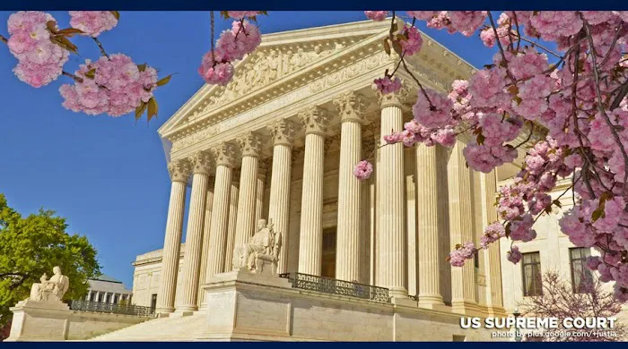 Hrbek Law 1