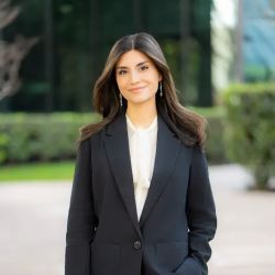 Resolve Law Group | Price Law Group ico
