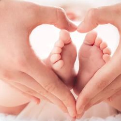The Law Offices of Bruce A. Mandel - Divorce & Family Law ico