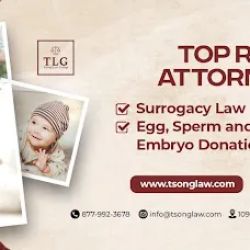 Tsong Law Group ico