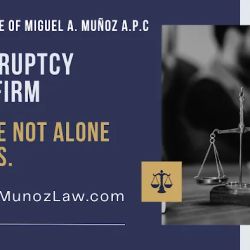 The Law Offices of Miguel A. Muñoz ico