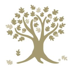 Kavesh, Minor & Otis ico
