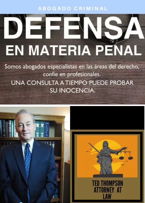 Ted Thompson Law 4