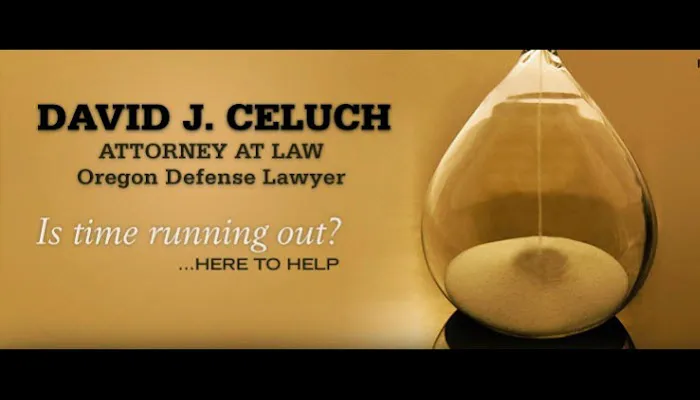 David J. Celuch, Attorney at Law 0