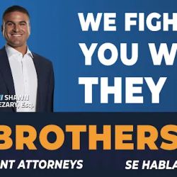The Law Brothers ico
