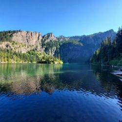 Leta Brandes Law, LLC ico