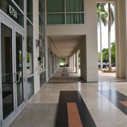 DiTocco Law Group Boca Raton ico