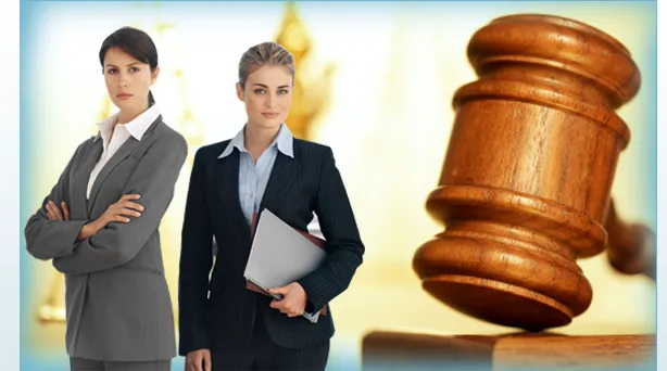 Law office of Diksha Mehan Sharma 5