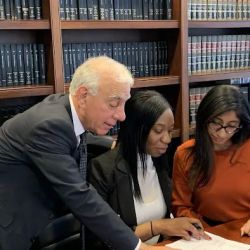 Rosenberg, Minc, Falkoff & Wolff, LLP ico