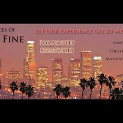 Law Offices of Mickey Fine ico