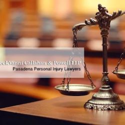 Thon Beck Vanni Callahan & O’Connor, A Professional Corporation ico