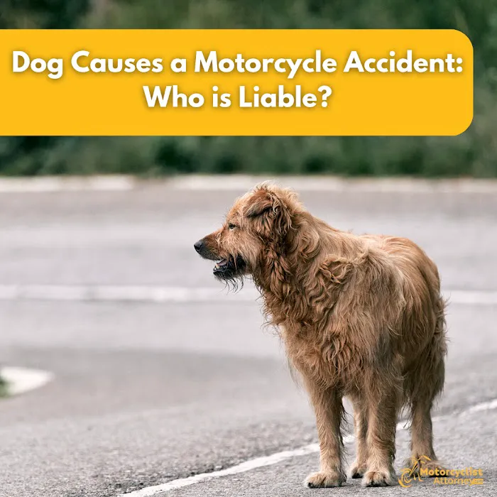 Motorcyclist Attorney 6