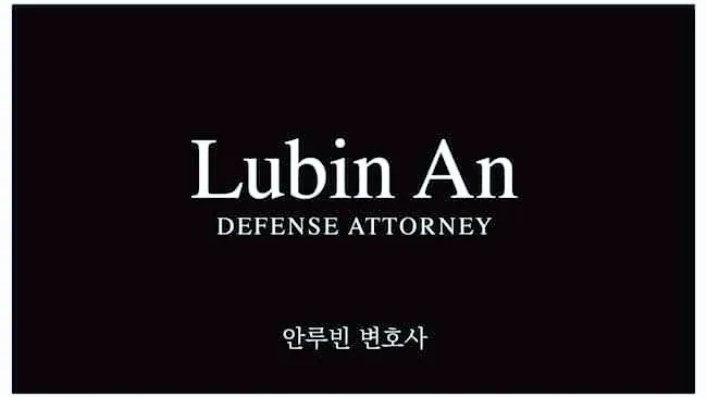LUBIN AN LAW 0
