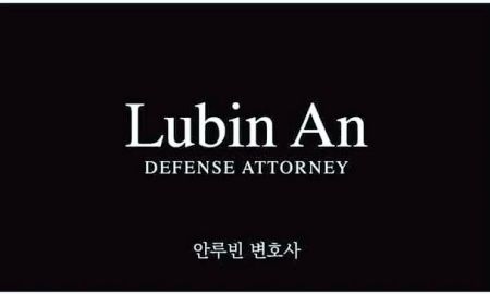 LUBIN AN LAW