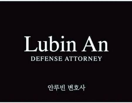 LUBIN AN LAW
