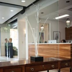 Warshauer Woodward Atkins, LLC, Personal Injury Trial Lawyers ico