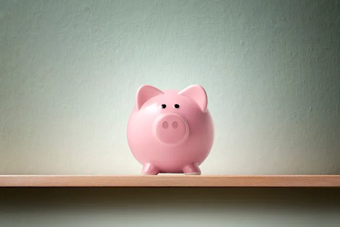The Bankruptcy Law Group LLC 1