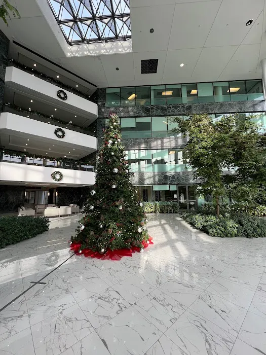 The Law Office of Brett R. Feldman 8