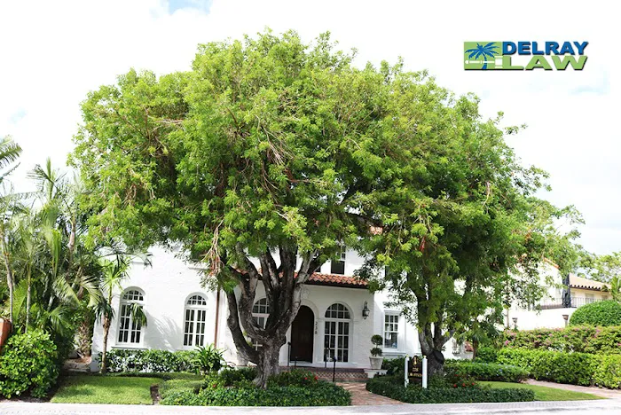 Delray Law PLLC 3