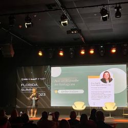 DM VISA LAW ico