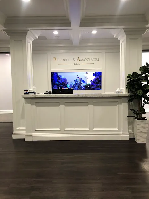 Borrelli & Associates P.L.L.C. 0