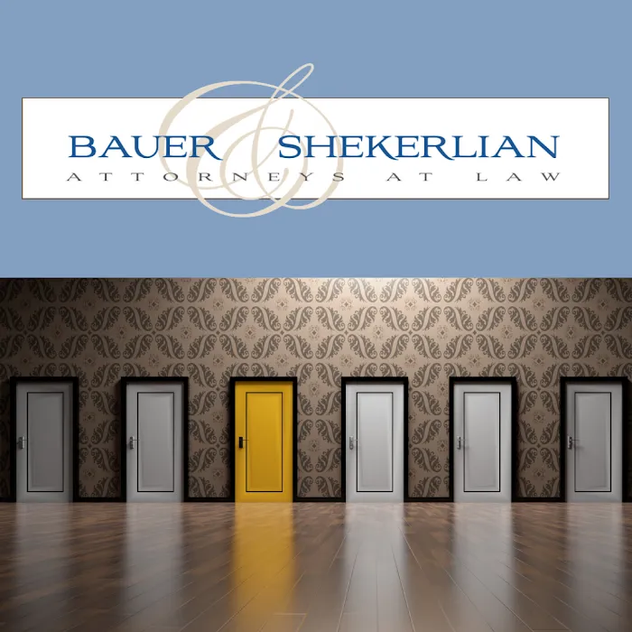 Bauer and Shekerlian Law, APC 2
