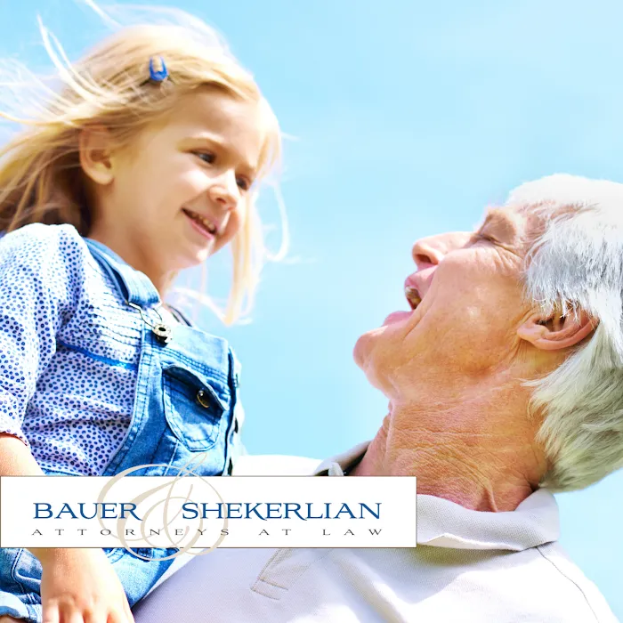 Bauer and Shekerlian Law, APC 10