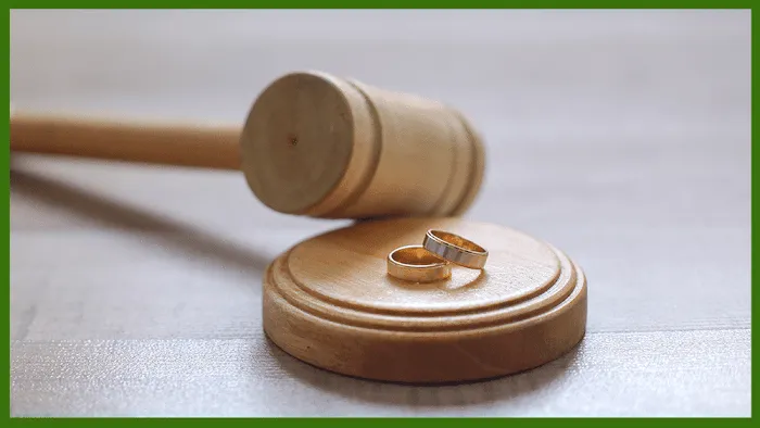 Finan Family Law 6
