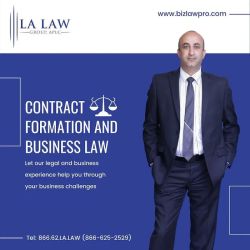 LA Law Group, A Professional Law Corporation ico