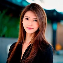 The Hollywood Lawyer ico