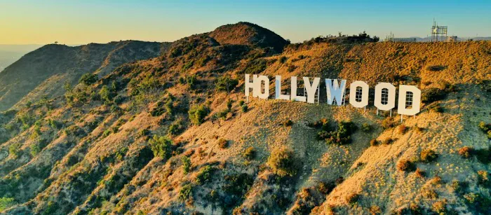 The Hollywood Lawyer 6