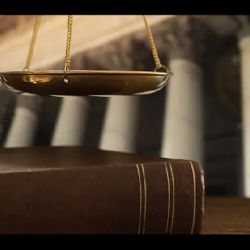 Winston Cooks, LLC ico